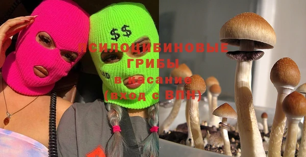 стафф Верея