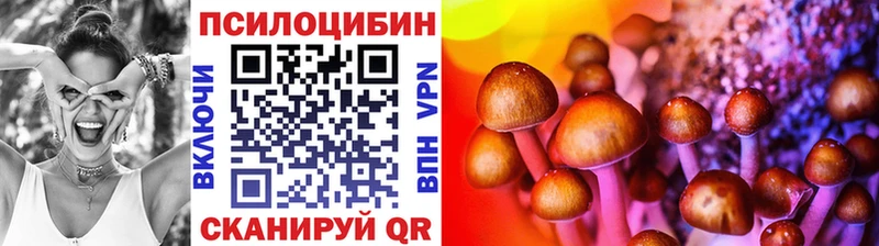 OMG   Медногорск  Галлюциногенные грибы ЛСД 