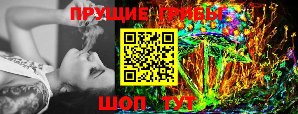 Псилоцибиновые грибы Psilocybine cubensis Медногорск